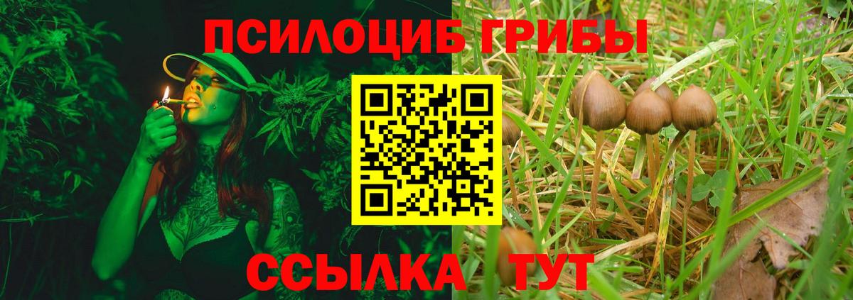 Псилоцибиновые грибы MAGIC MUSHROOMS  Вход с VPN  Чернушка 